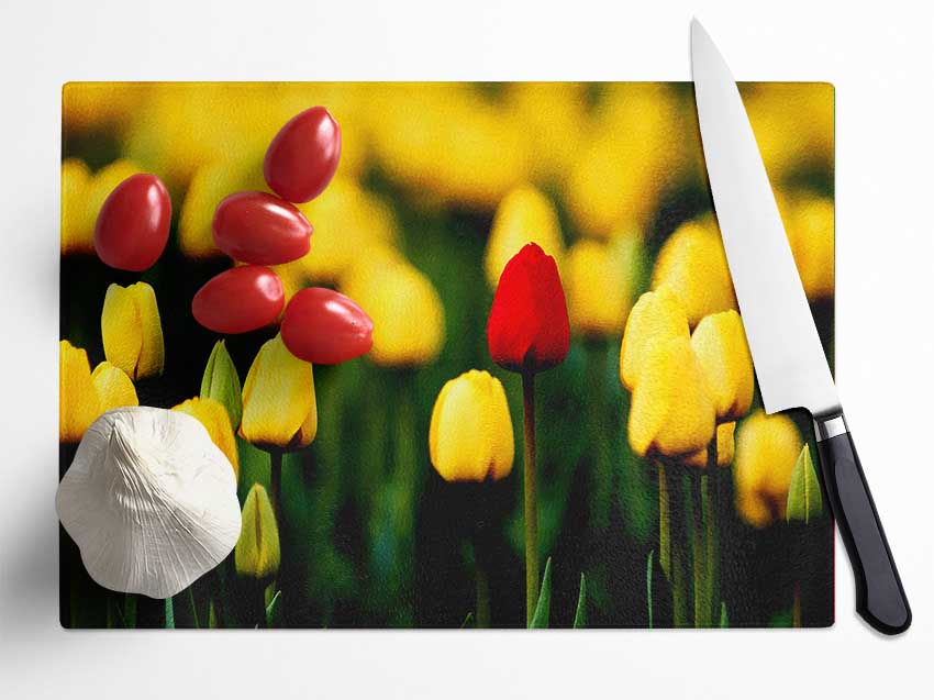 Red Tulip In A Field Of Yellows Glass Chopping Board