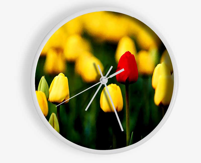 Red Tulip In A Field Of Yellows Clock - Wallart-Direct UK