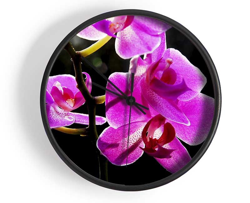 Orchid In Sunlight Clock - Wallart-Direct UK