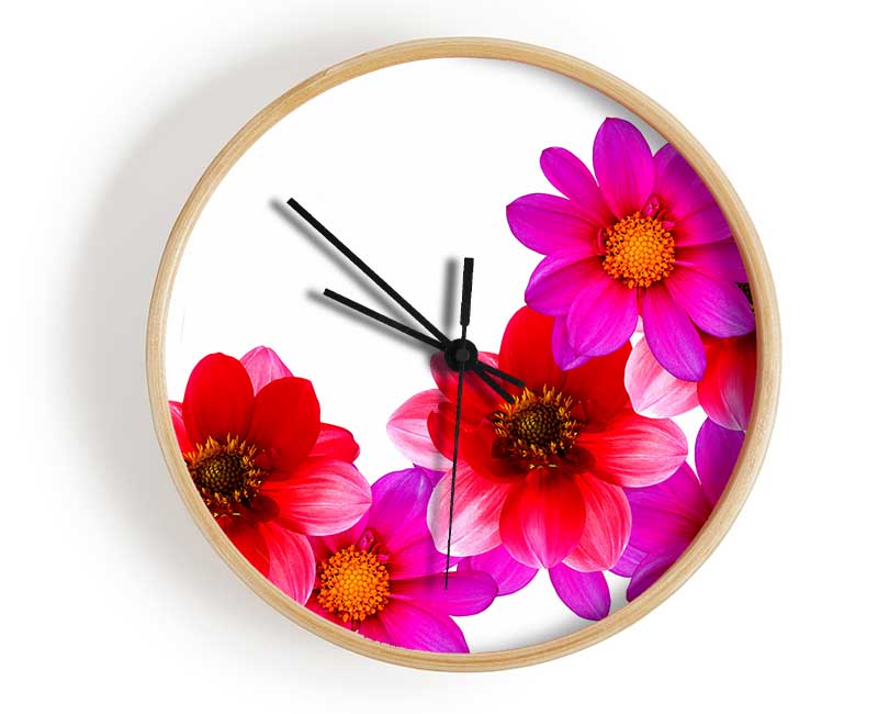 Pink And Red Flower Heads Clock - Wallart-Direct UK