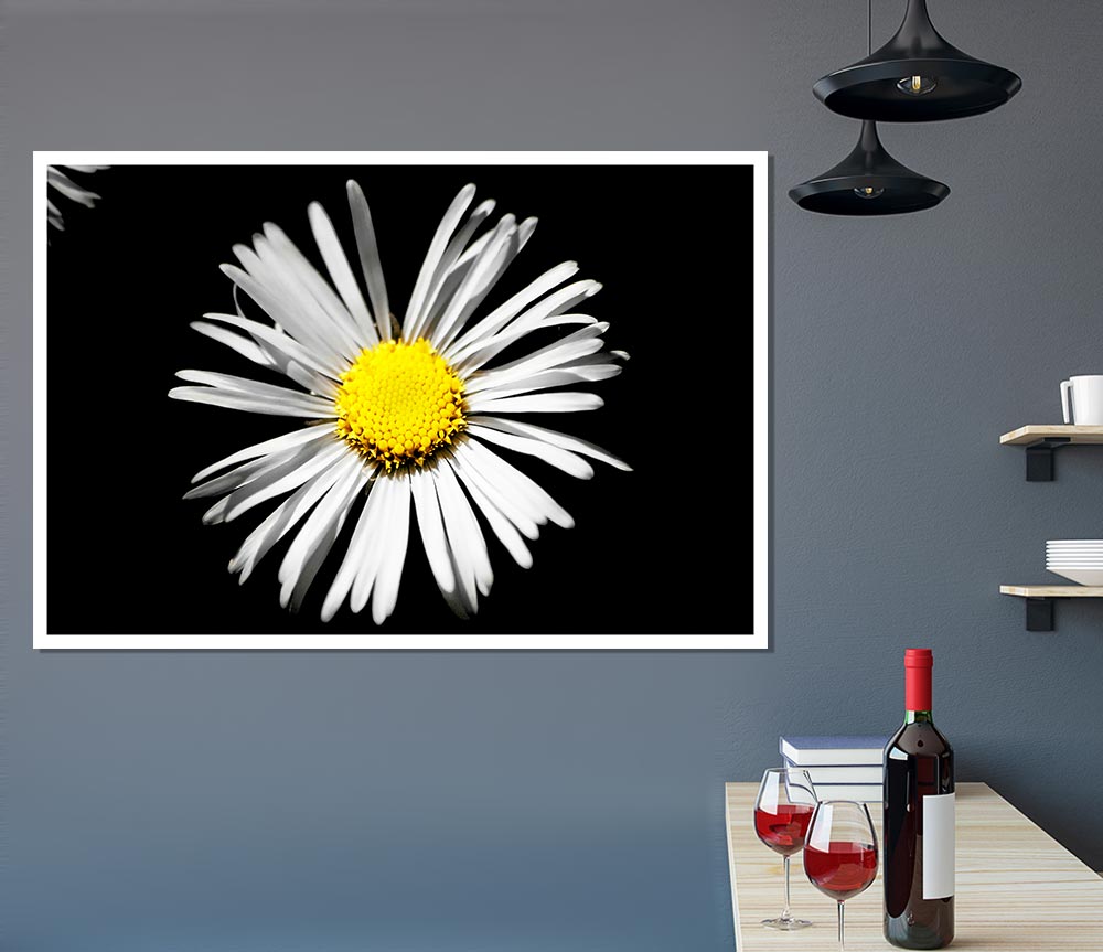 White Daisy Sunlight Print Poster Wall Art