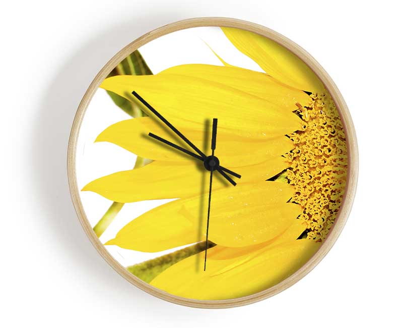 Close-Up Petal Sunflower Clock - Wallart-Direct UK