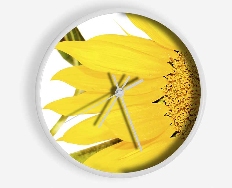 Close-Up Petal Sunflower Clock - Wallart-Direct UK