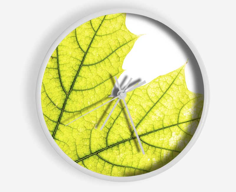 Magnificent Leaf Clock - Wallart-Direct UK