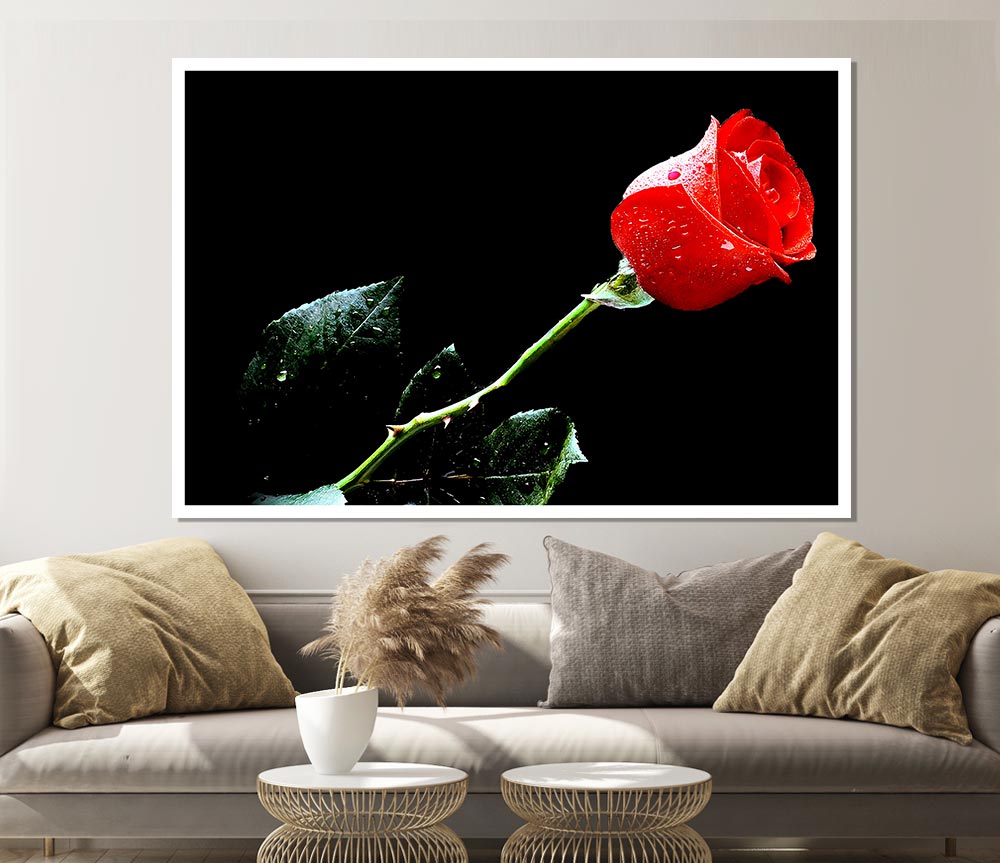 Love Of A Single Red Rose Print Poster Wall Art