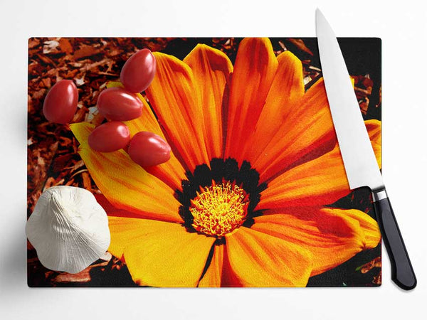 Fire Orange Beauty Glass Chopping Board