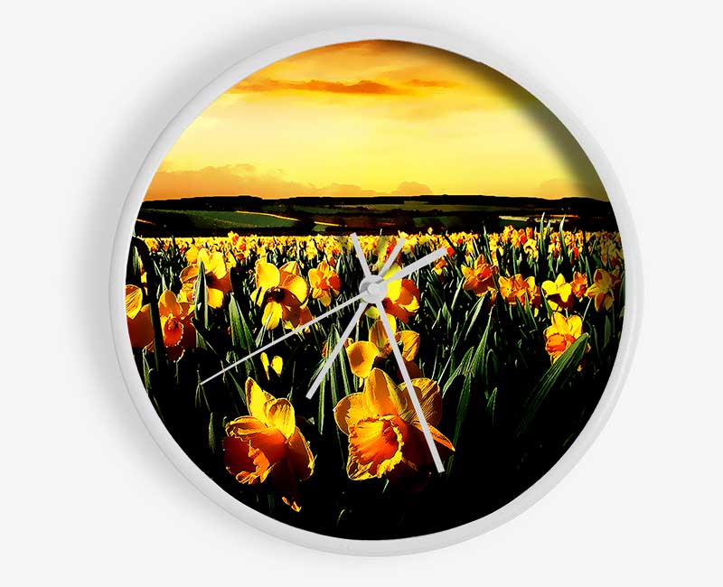 Field Of Golden Daffodils Clock - Wallart-Direct UK