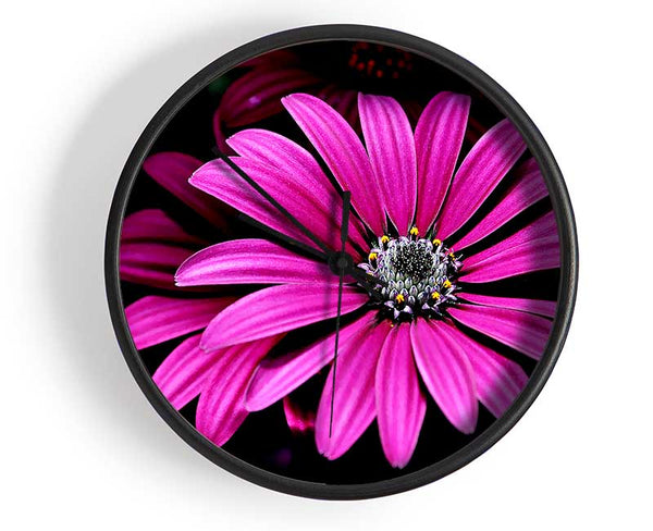 Cerise Daisy Petals Clock - Wallart-Direct UK