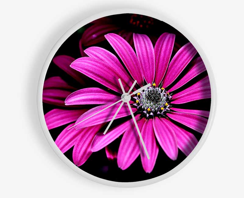 Cerise Daisy Petals Clock - Wallart-Direct UK