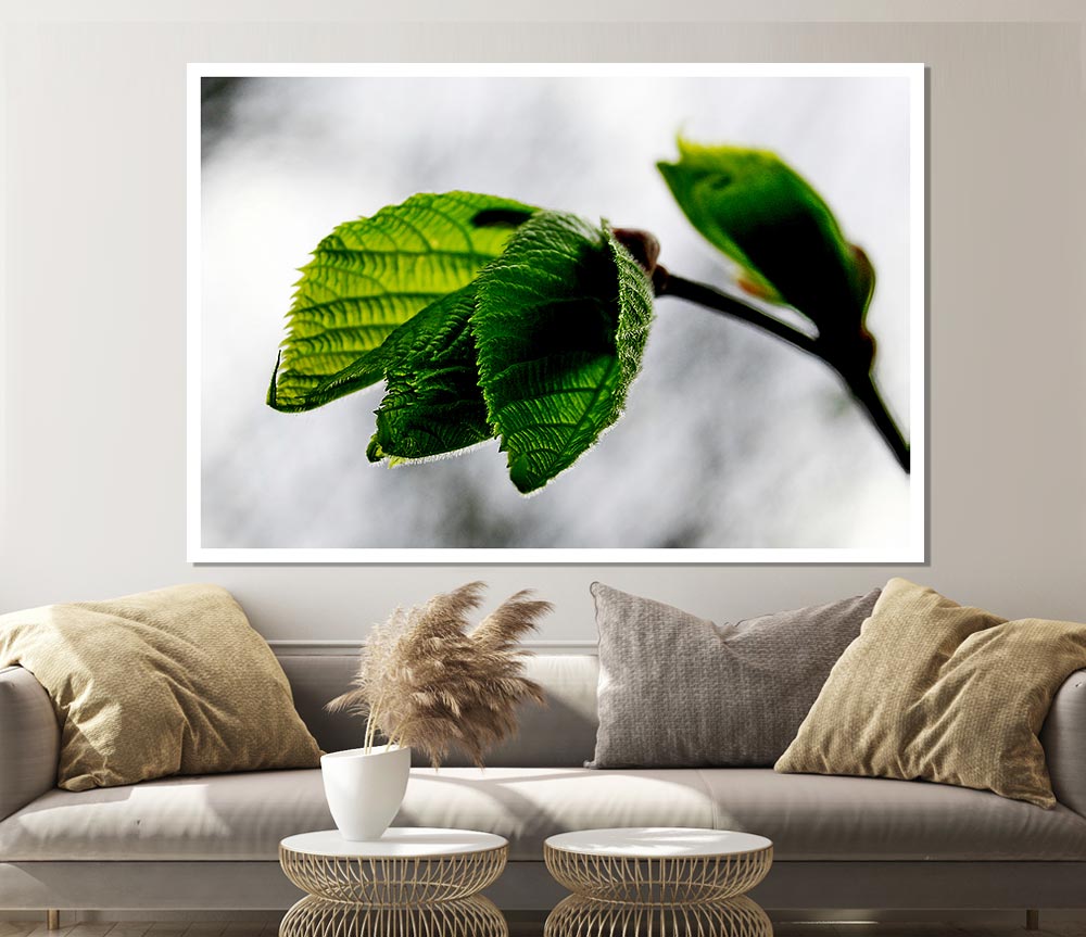 The Winter Leaves Print Poster Wall Art