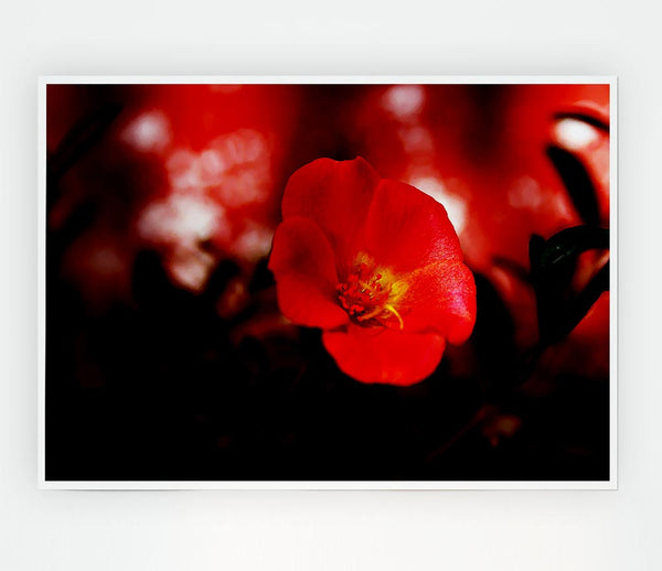 Cherry Red Print Poster Wall Art