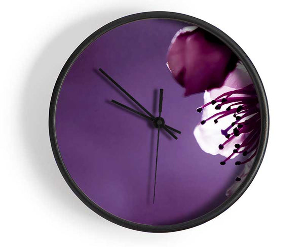 Purple Apple Blossom Clock - Wallart-Direct UK