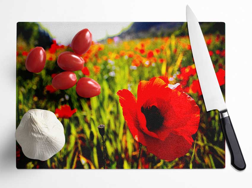 Red Poppy Fields In Golden Sunlight Glass Chopping Board