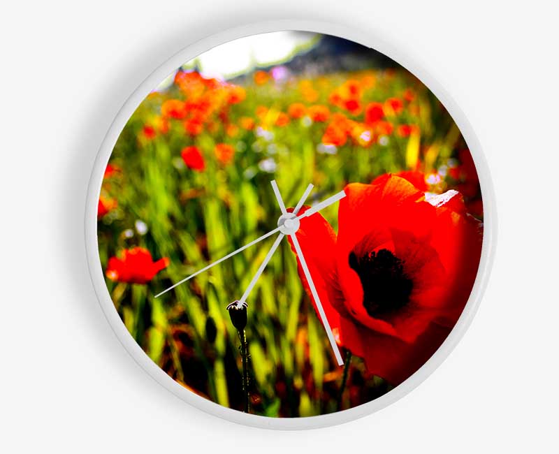 Red Poppy Fields In Golden Sunlight Clock - Wallart-Direct UK