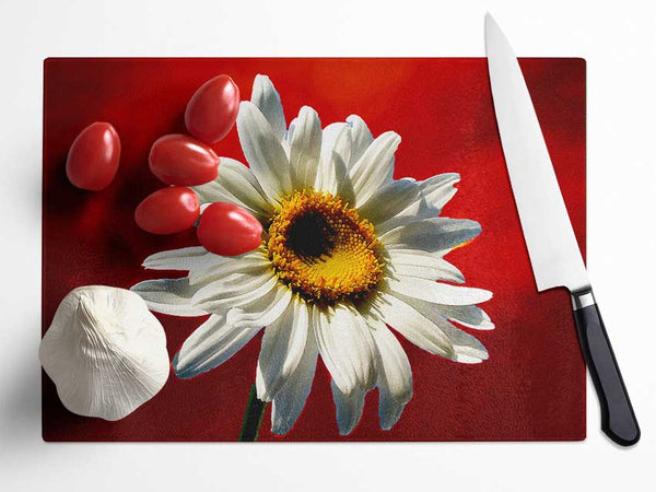 White Daisy On Red Glass Chopping Board