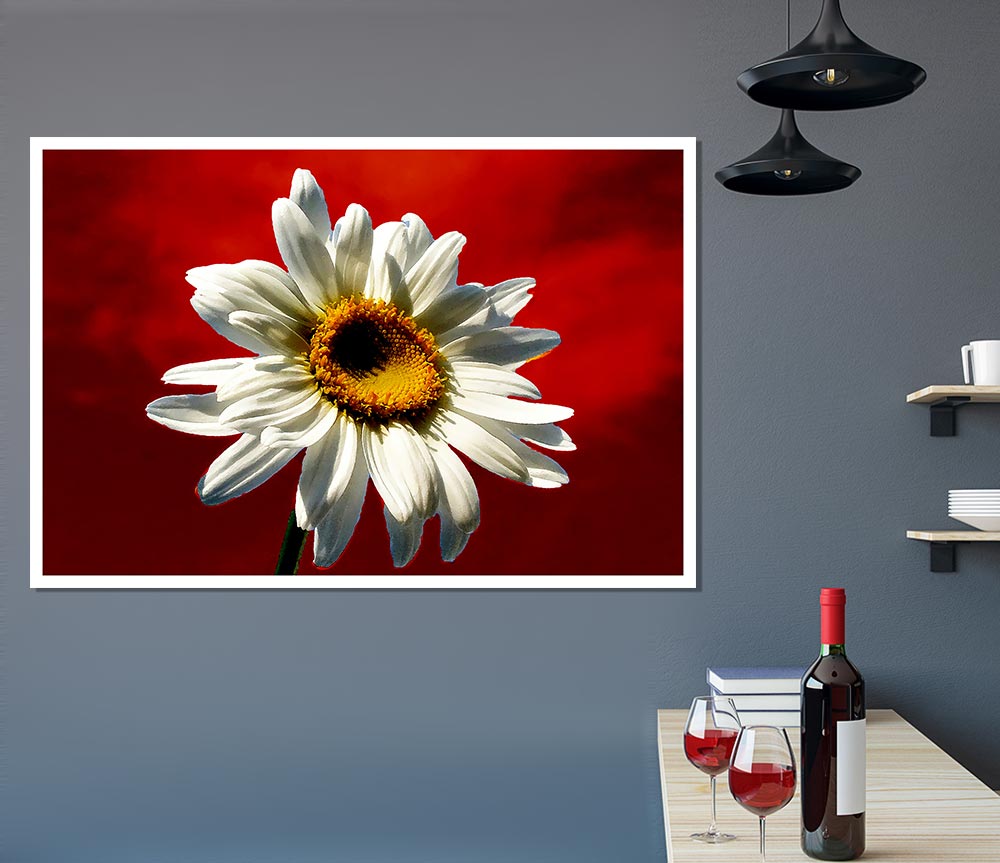 White Daisy On Red Print Poster Wall Art