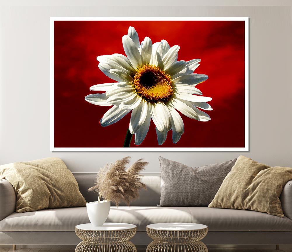 White Daisy On Red Print Poster Wall Art