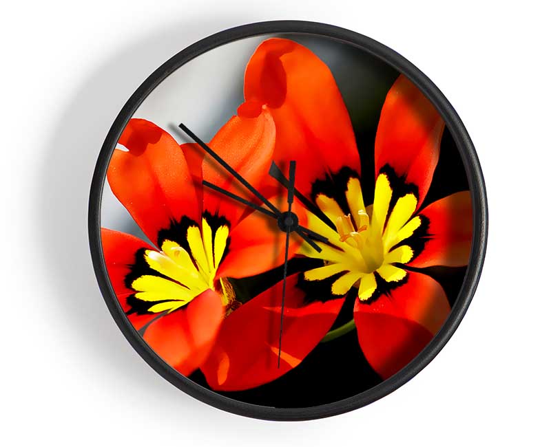 Orange Petaled Beauties Clock - Wallart-Direct UK