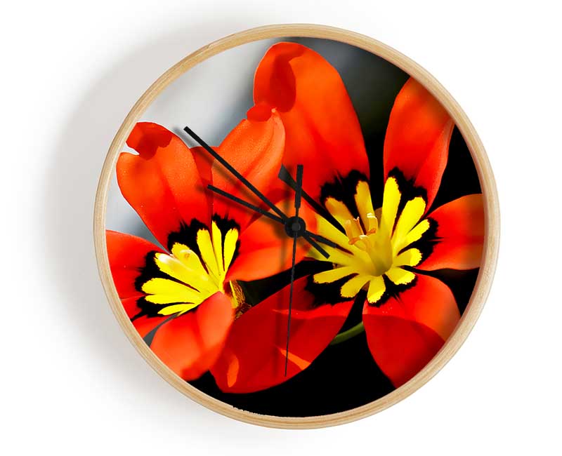 Orange Petaled Beauties Clock - Wallart-Direct UK