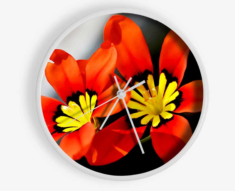 Orange Petaled Beauties Clock - Wallart-Direct UK