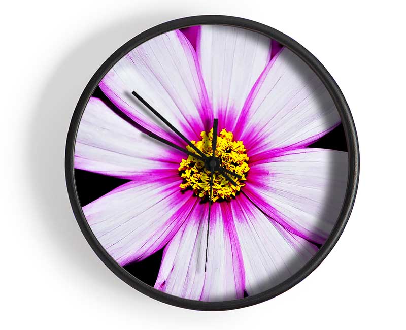 Pink Petal Stunner Clock - Wallart-Direct UK