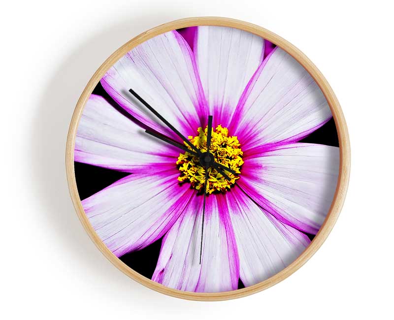 Pink Petal Stunner Clock - Wallart-Direct UK