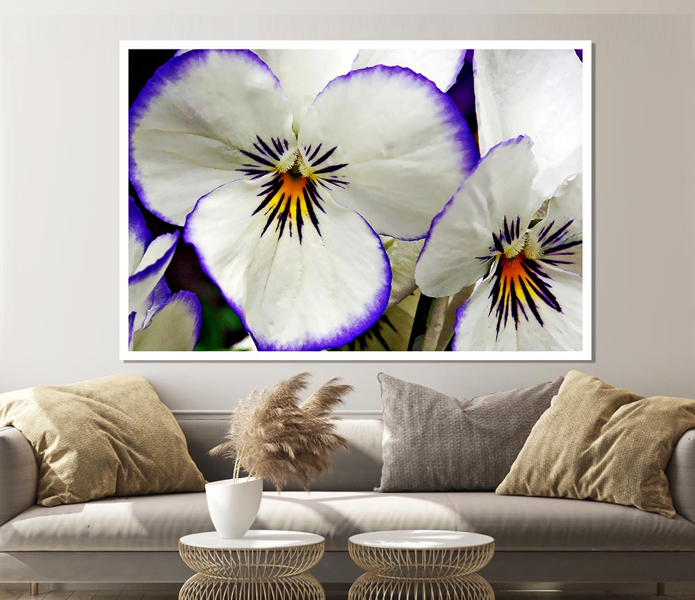 White Purple Petals Print Poster Wall Art