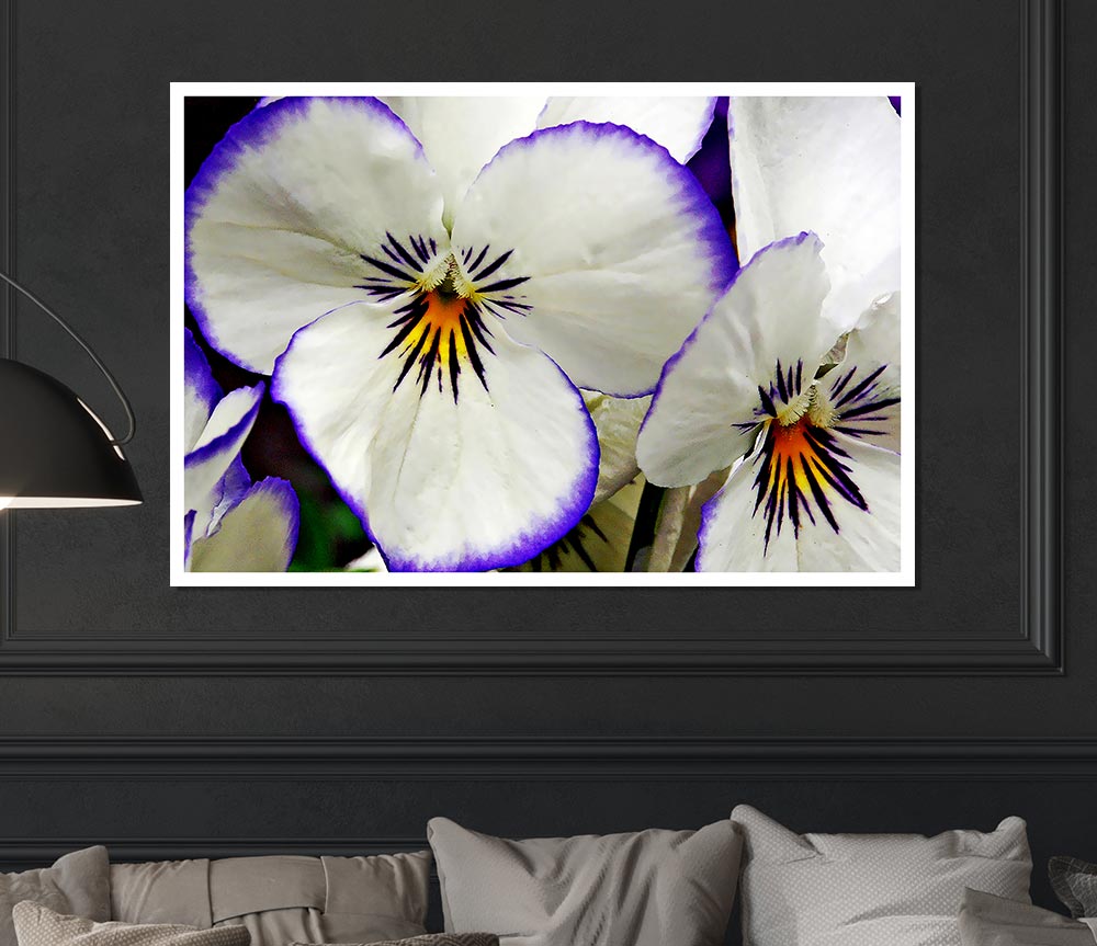 White Purple Petals Print Poster Wall Art