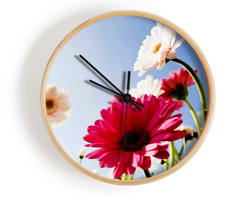 Daisy Sky Sunlight Clock - Wallart-Direct UK