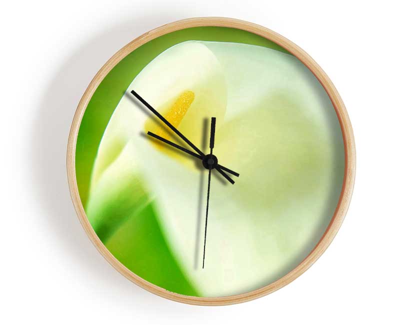 Single White Calla Lily Clock - Wallart-Direct UK