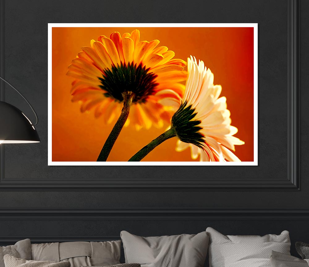 Behing The Golden Daisies Print Poster Wall Art