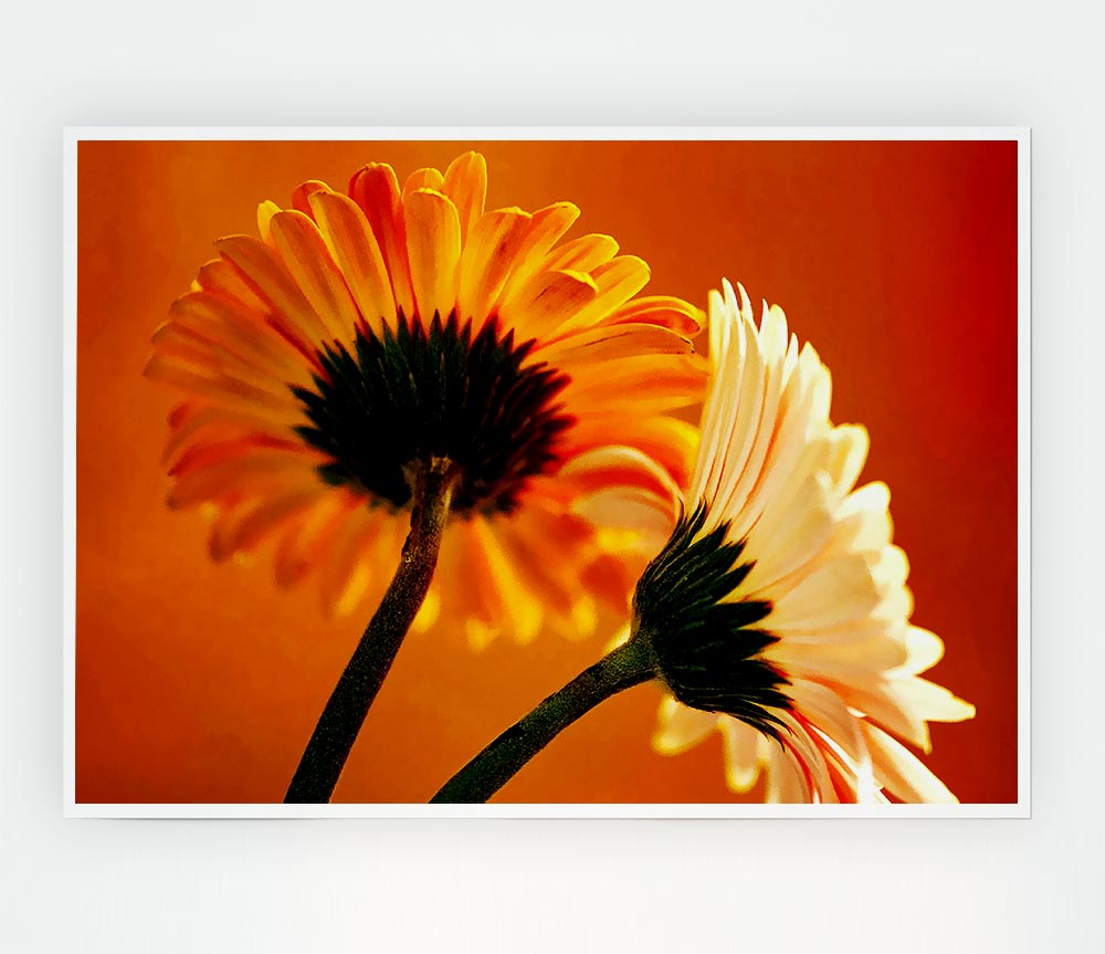 Behing The Golden Daisies Print Poster Wall Art