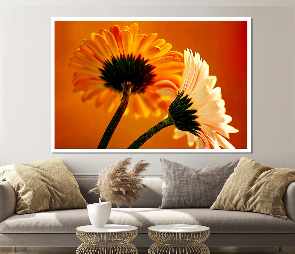 Behing The Golden Daisies Print Poster Wall Art