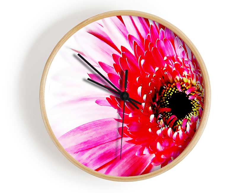 Stunning Pink Gerbera Petals Clock - Wallart-Direct UK