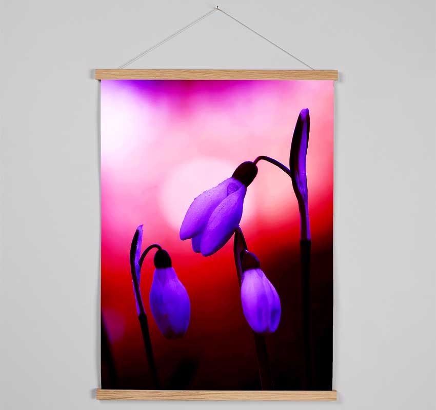 Violet Snowdrops Hanging Poster - Wallart-Direct UK