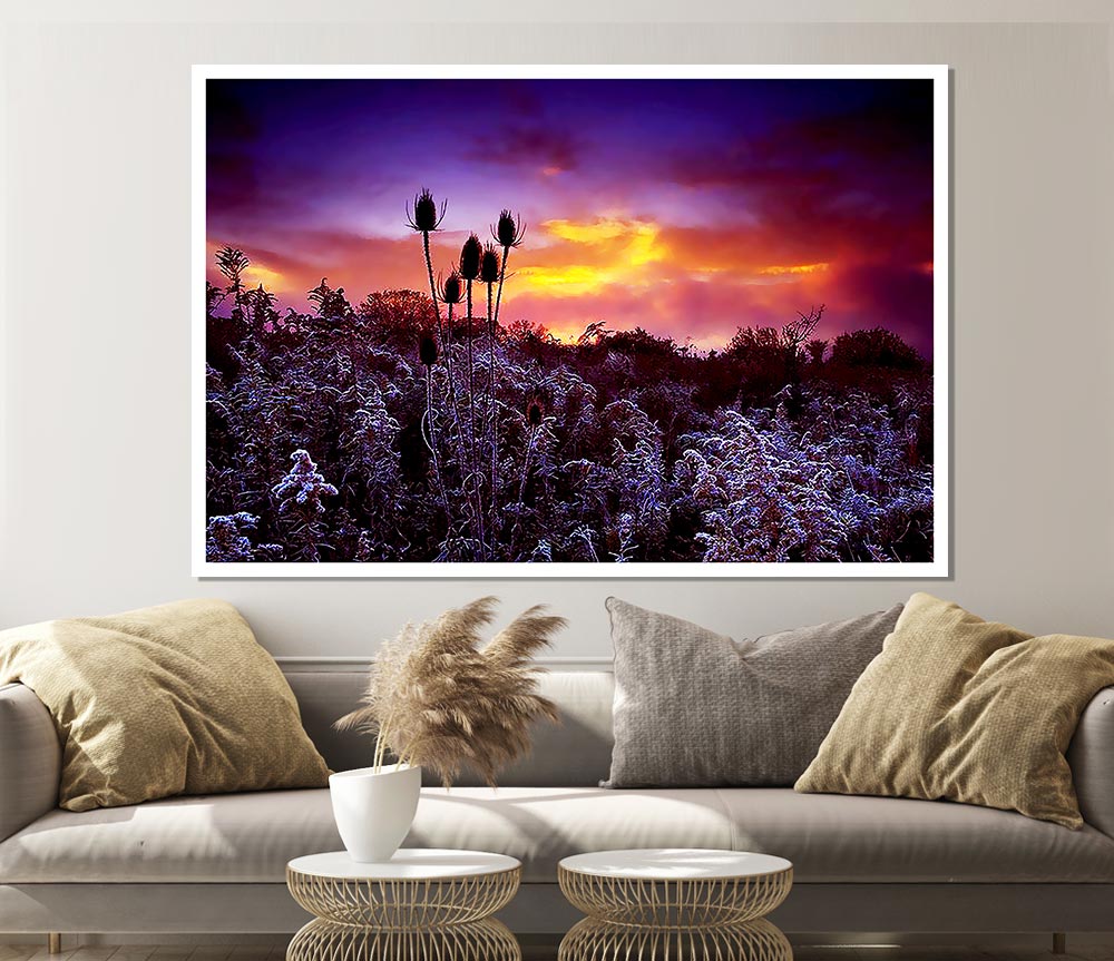 Winter Skies Print Poster Wall Art