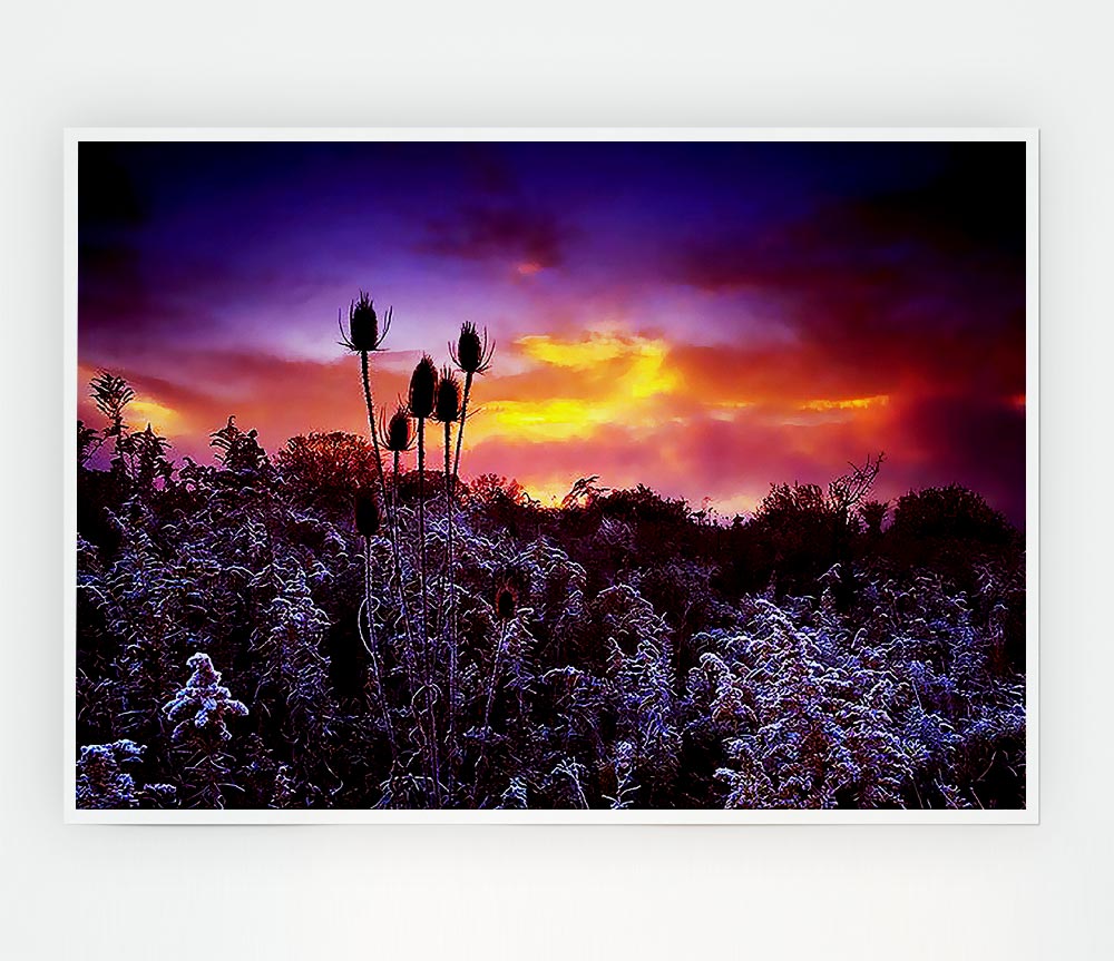 Winter Skies Print Poster Wall Art