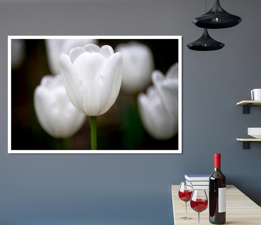 White Snowdrop Beauty Print Poster Wall Art