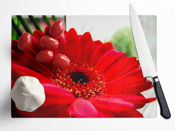 Cerise Gerbera Beauty Glass Chopping Board