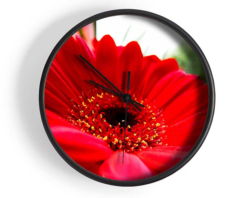 Cerise Gerbera Beauty Clock - Wallart-Direct UK