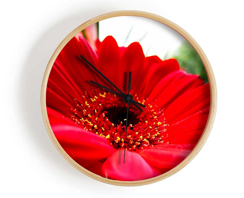 Cerise Gerbera Beauty Clock - Wallart-Direct UK