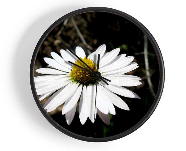 White Single Daisy Head Clock - Wallart-Direct UK