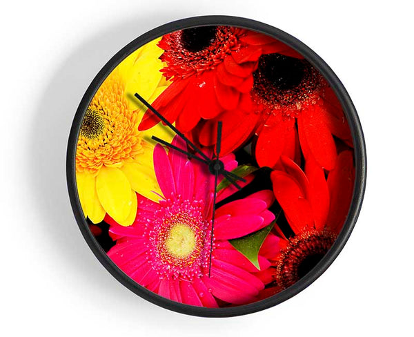 Gerbera Galore Clock - Wallart-Direct UK