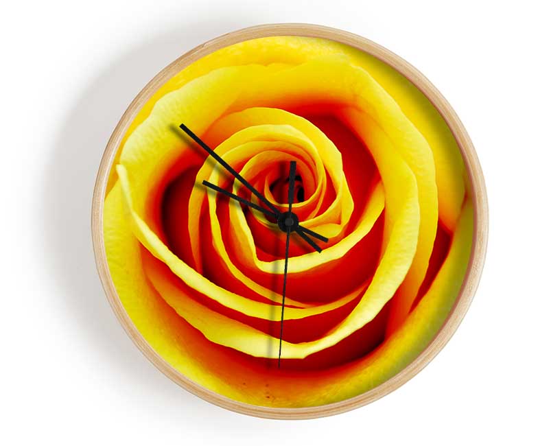 Golden Rose Close-Up Clock - Wallart-Direct UK