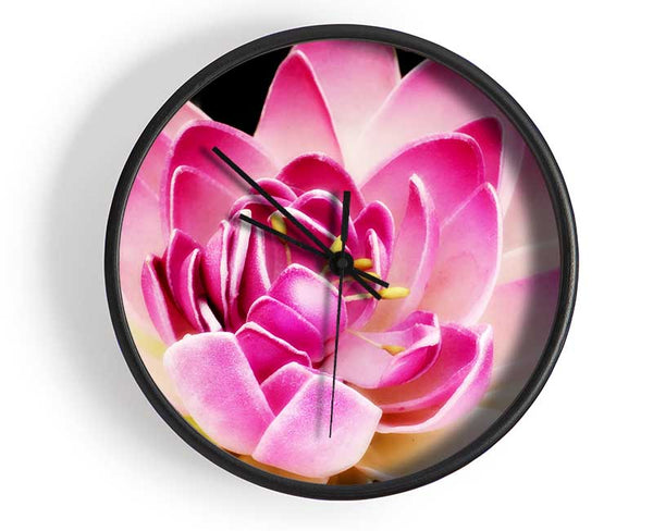 Water Lily Petals Clock - Wallart-Direct UK