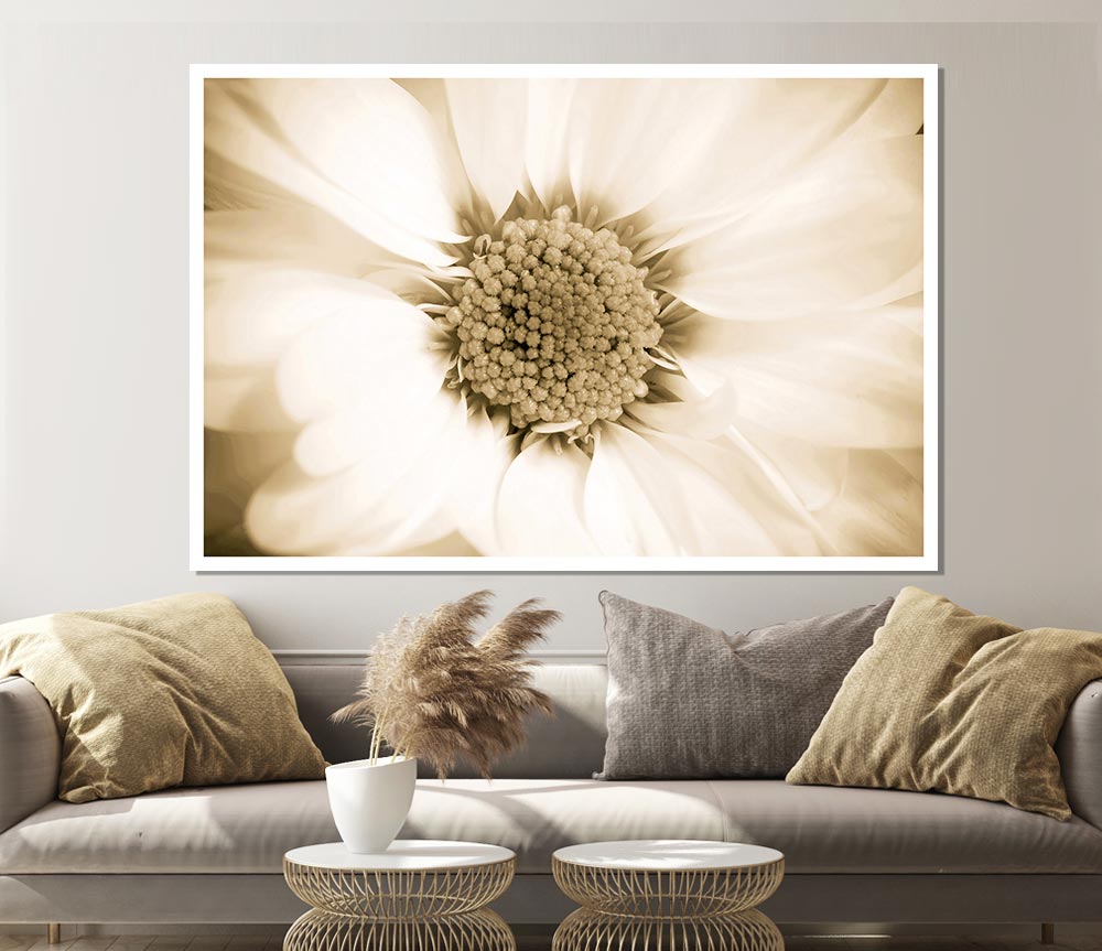 White Petal Heaven Print Poster Wall Art