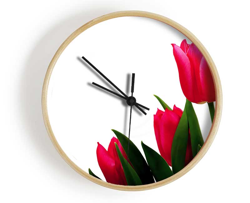 Pink Tulip Trio Clock - Wallart-Direct UK