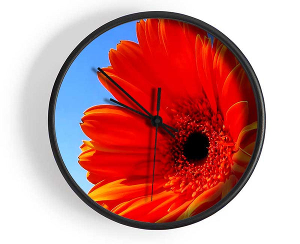 Orange Gerbera Skies Clock - Wallart-Direct UK