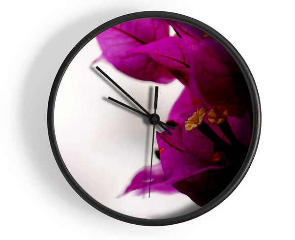 Stunning Cerise Winter Flowers Clock - Wallart-Direct UK