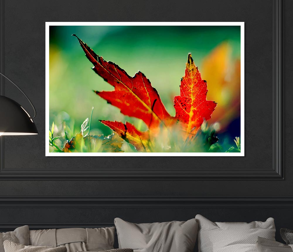 Autumn Leaf Print Poster Wall Art